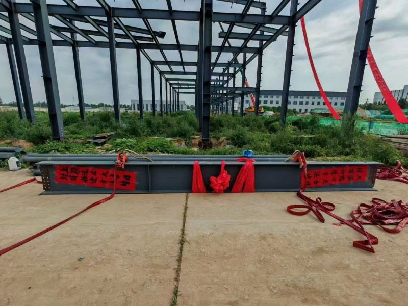Компанијата за челична структура на Јонгхен Ксинје ја забрза изградбата на работилницата за храна Хебеј Босенг